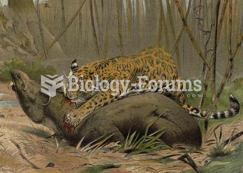 Illustration of a jaguar killing a tapir
