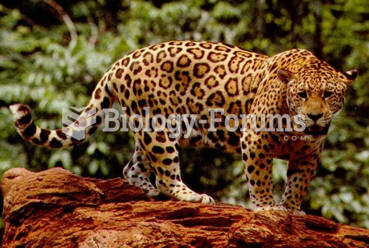 The jaguar can range across a variety of forested and open habitat, but is strongly associated with 