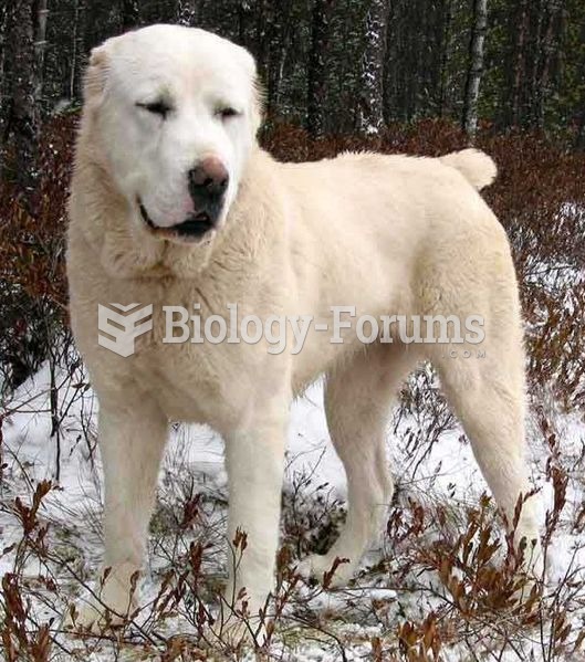 Central Asian Shepherd Dog