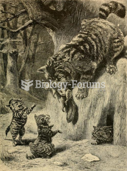 European wildcat feeding its kittens, as illustrated in Brehm's Life of Animals