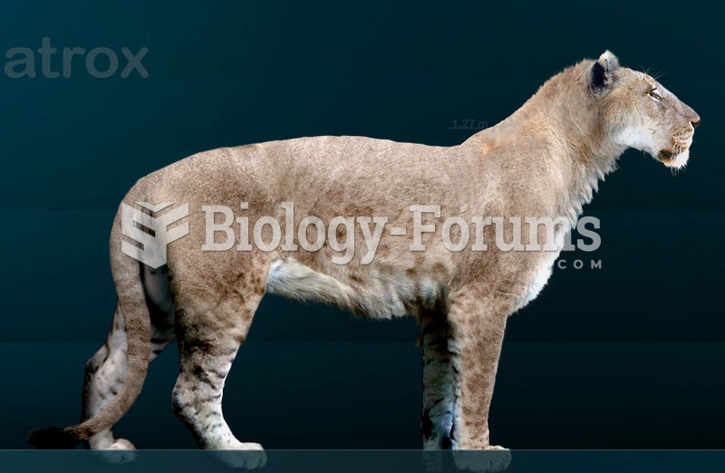 The American Lion was one of the abundant Pleistocene megafauna, a wide variety of very large mammal