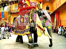 A decorated Indian elephant in Jaipur, India.