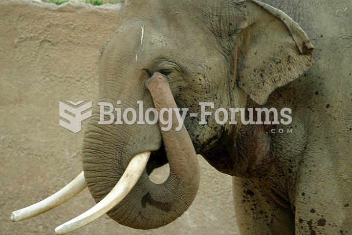 An elephant can use its trunk for a variety of purposes. This one is wiping its eye.