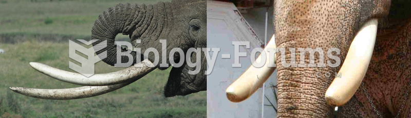 Tusks of African and Asian elephants.