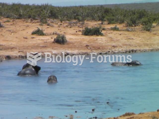 African elephant bathing