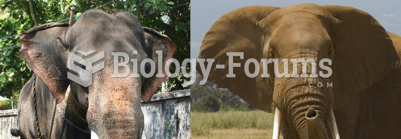 Difference between Asian (left) and African (right) elephant ears.