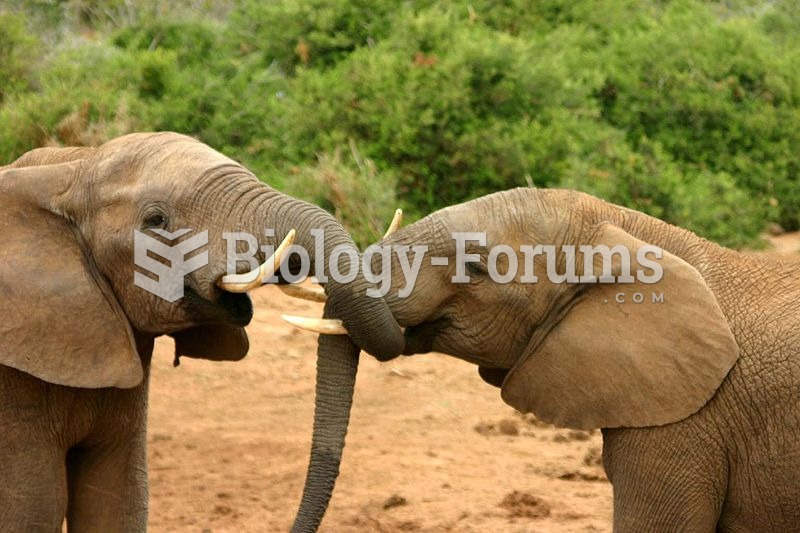 Elephant mating behaviour. 2