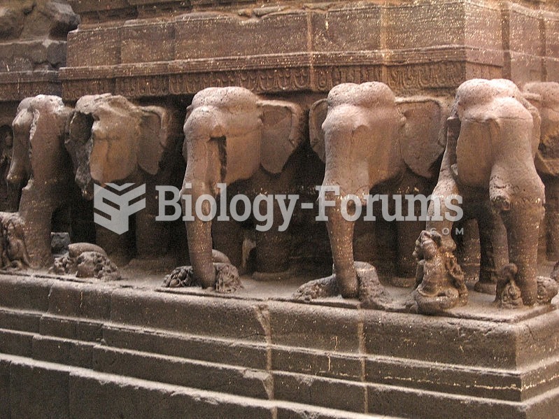 Elephant pillar carvings at Kailash Temple, India