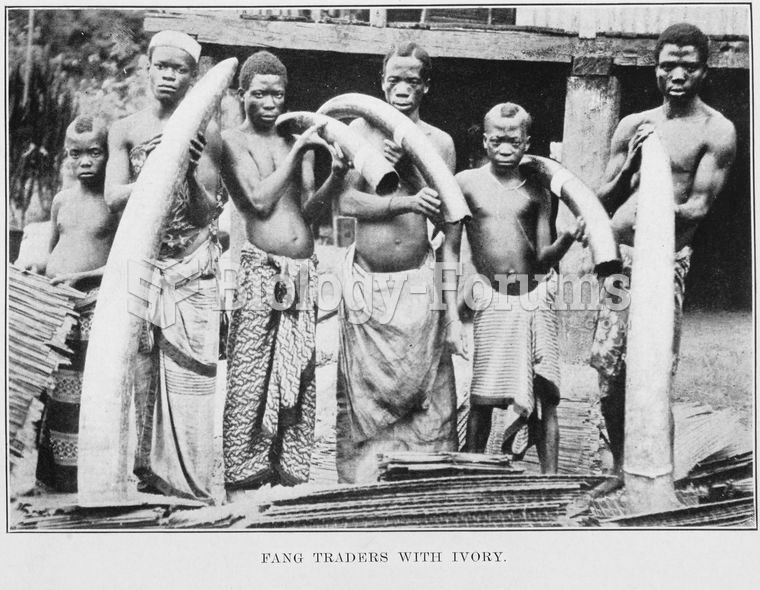 Ivory traders, c. 1912
