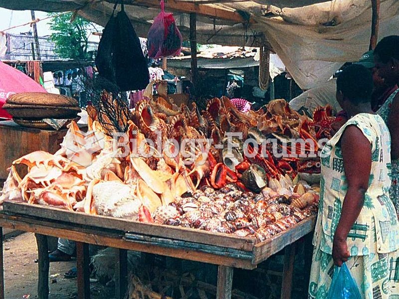 A seashell vendor in Tanzania sells to tourists seashells which have been taken from the sea alive, 