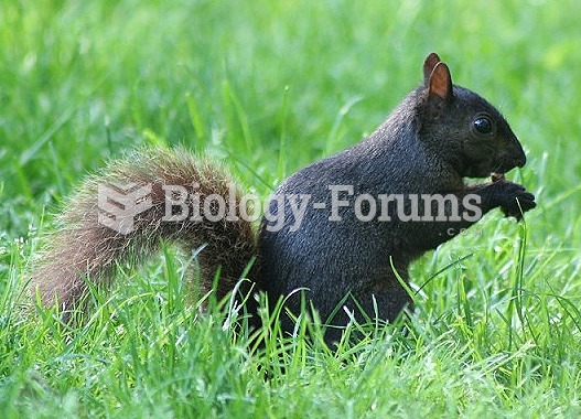 Several species of squirrels have melanistic phases. In large parts of United States and Canada, the