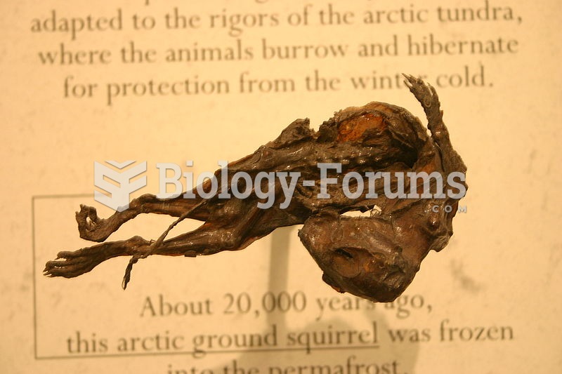 20,000 year old Arctic ground squirrel mummy
