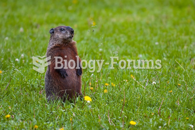 A nearly motionless individual, alert to danger, will whistle when alarmed to warn other groundhogs