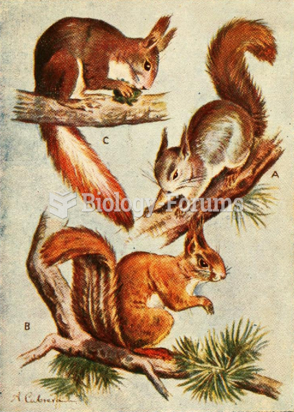 Various red squirrel subspecies; A) S. v. vulgaris from Sweden, B) S. v. fuscoater from Germany, C)