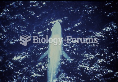 Aerial view of a blue whale showing both pectoral fins