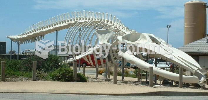 Blue whale skeleton, outside the Long Marine Laboratory at the University of California, Santa Cruz