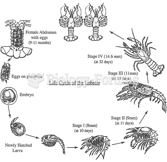 Life Cycle of Lobster