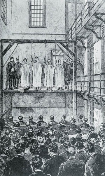 On November 11, 1887, four anarchists were hanged in Chicago on charges that they had thrown a bomb 