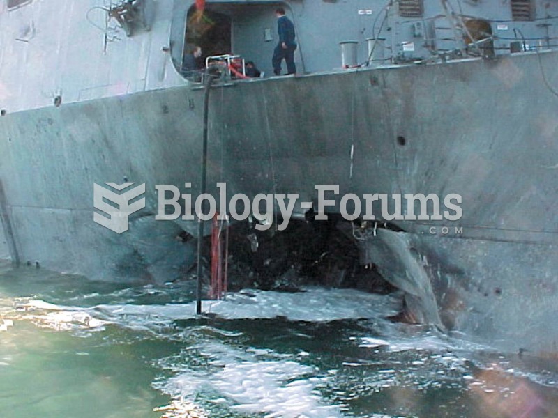 The gaping hole in the destroyer USS Cole, in the port of Aden, Yemen, was the work of suicide bombe