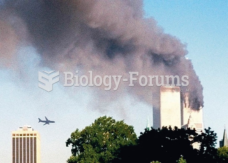 A second jetliner approaches the south tower of the World Trade Center on September 11, 2001. The no