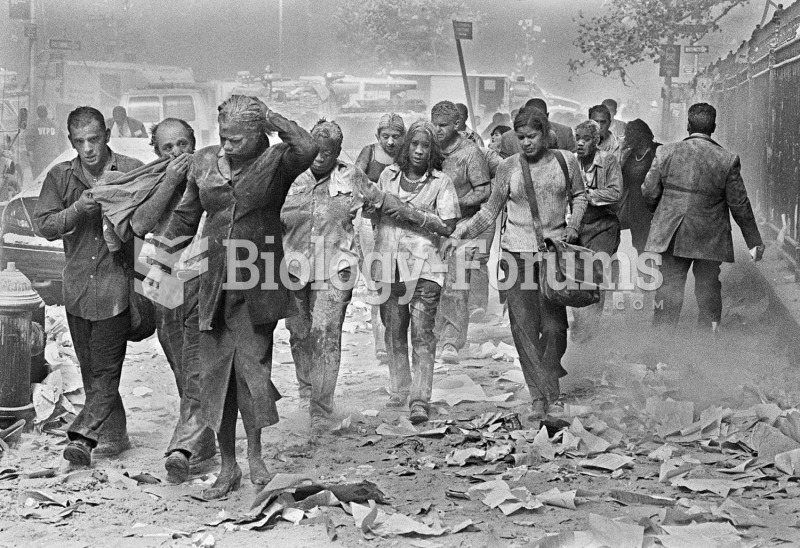 New Yorkers flee from the dust caused by the collapse of the twin towers of the World Trade Center f