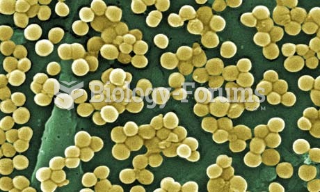 Staph Aureus bacteria