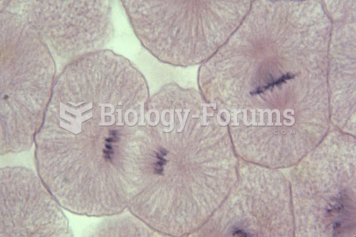 Whitefish Blastula Cells under a microscope