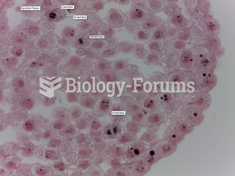 whitefish blastula cells