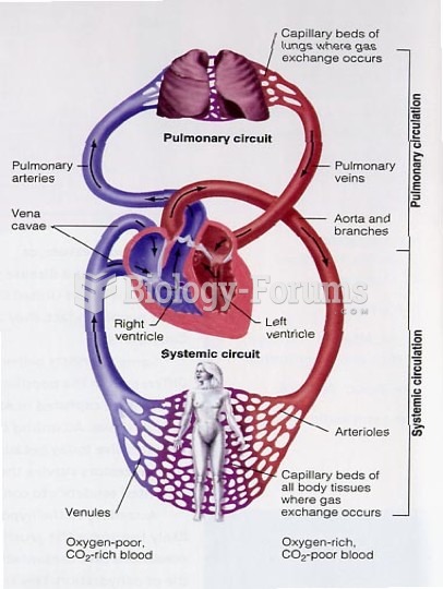 Fetal Circulation Diagram