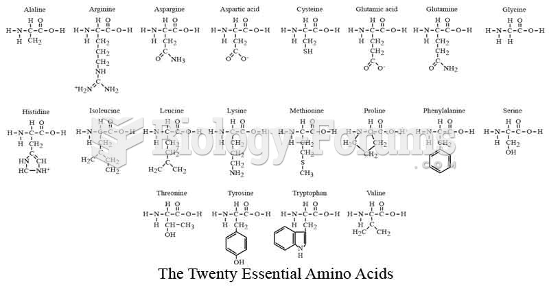 Diagram of the Twenty Essential Amino Acids