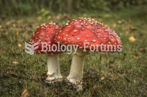 Death cap (Amanita phalloides) is New Zealand’s most poisonous toadstool – and one of the most poiso