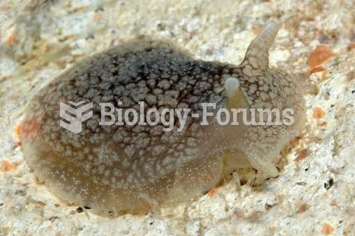 The grey side-gilled sea slug Pleurobranchaea maculata. The discovery of tetrodotoxin in this slug i