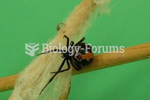 The katipō (Latrodectus katipo) is one of two venomous spiders in New Zealand