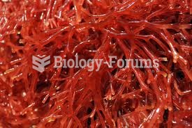 Red Algae