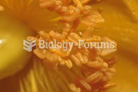 Plant Anthers