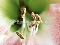 Plant Anthers