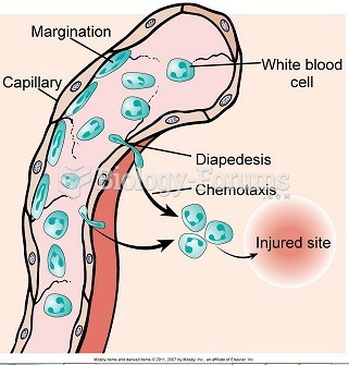 Margination, diapedesis, and chemotaxis of white blood cells