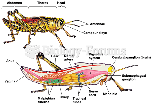Internal anatomy of a female cricket