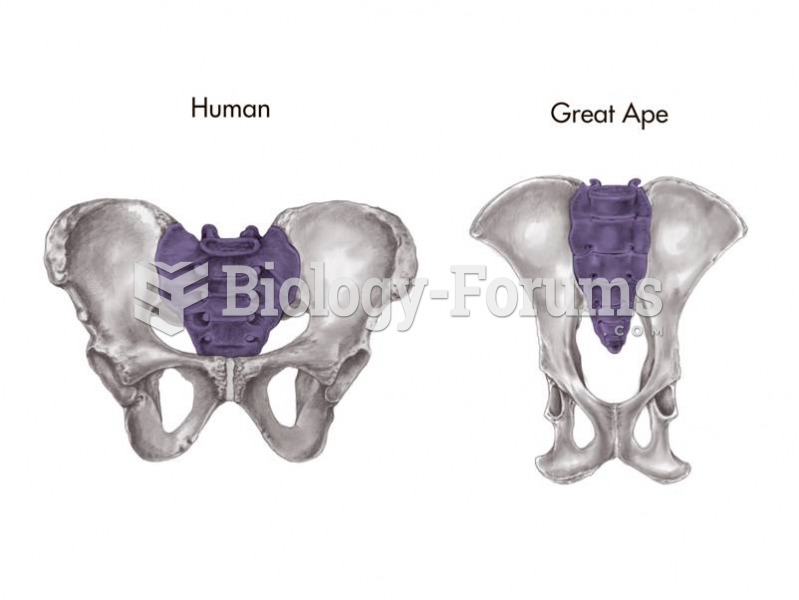 To maintain balance the bipedal pelvis has a foreshortened ilium and is broader and bowl-shaped. The