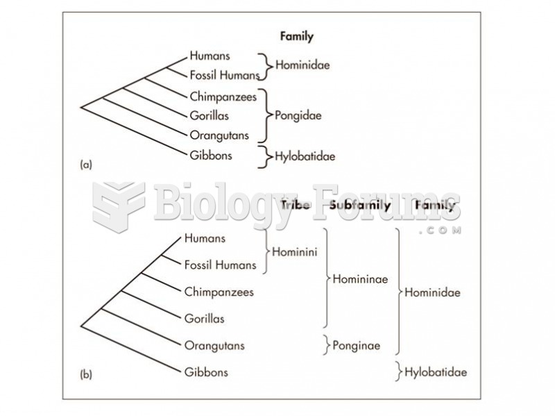 A Taxonomic classification of hominins versus hominids. 