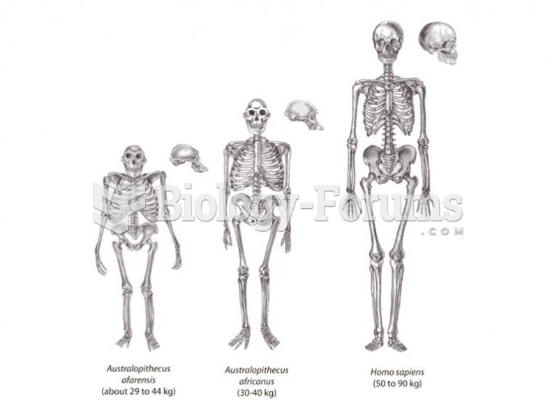 Comparison of hominin skeletons. 