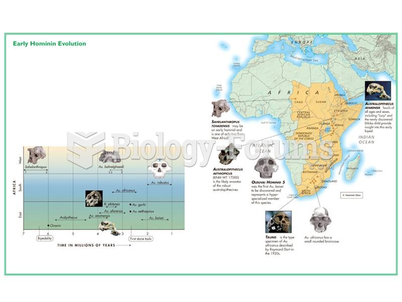 The early hominin evolution