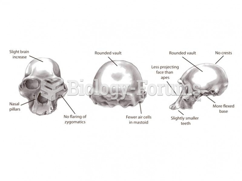Key Features of Australopithecus africanus.  