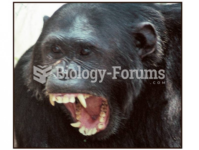 Monkeys and apes such as this chimpanzee can be recognized in the fossil record by the anatomy of th