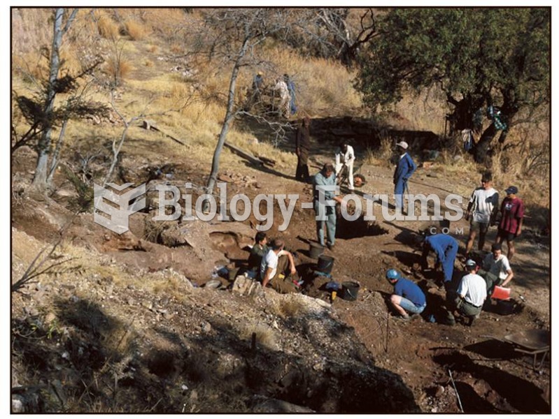 The site of Gladysvale in South Africa is excavated for Australopithecus remains. 