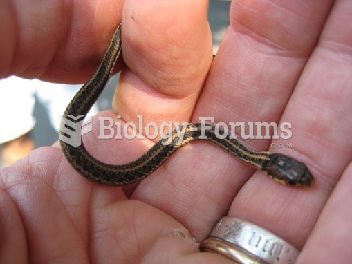 Smallest Snake in the world