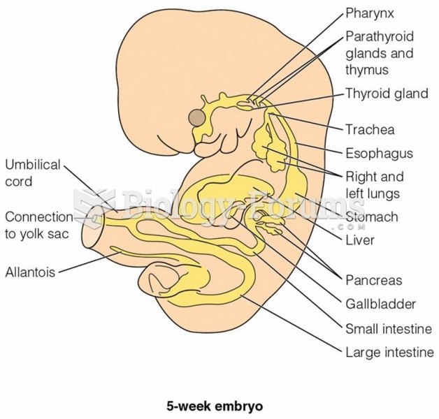 5 week embryo