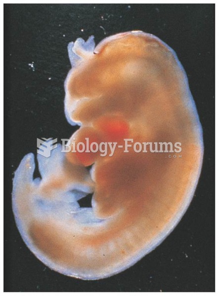 five week embryo