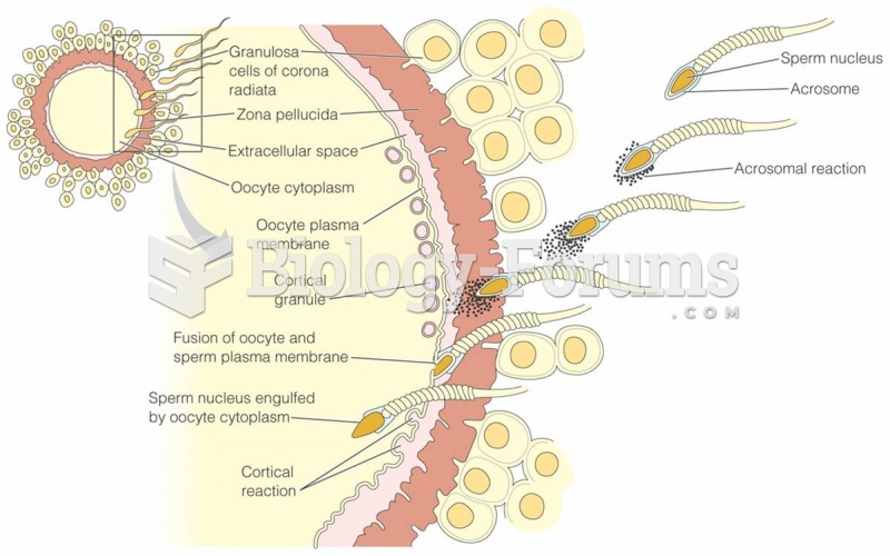 Sperm penetration of ovum