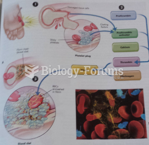 Blood Clotting Mechanism